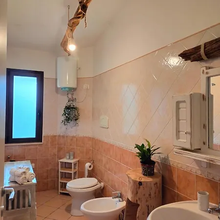 Rosa 3* Olia Speciosa